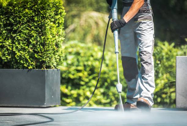 Best Boat and Dock Cleaning  in Shawneeland, VA